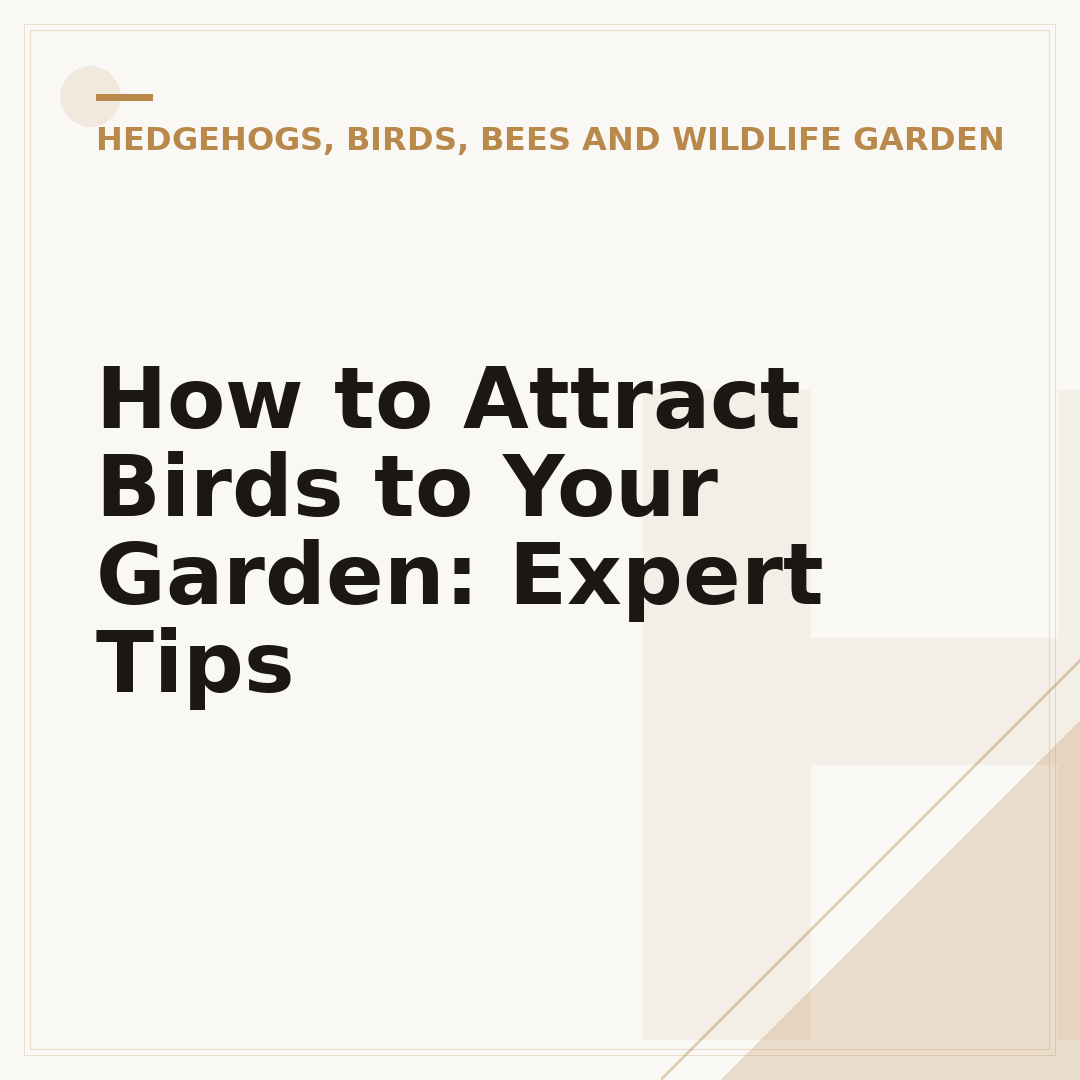 How to Attract Birds to Your Garden: Expert Tips