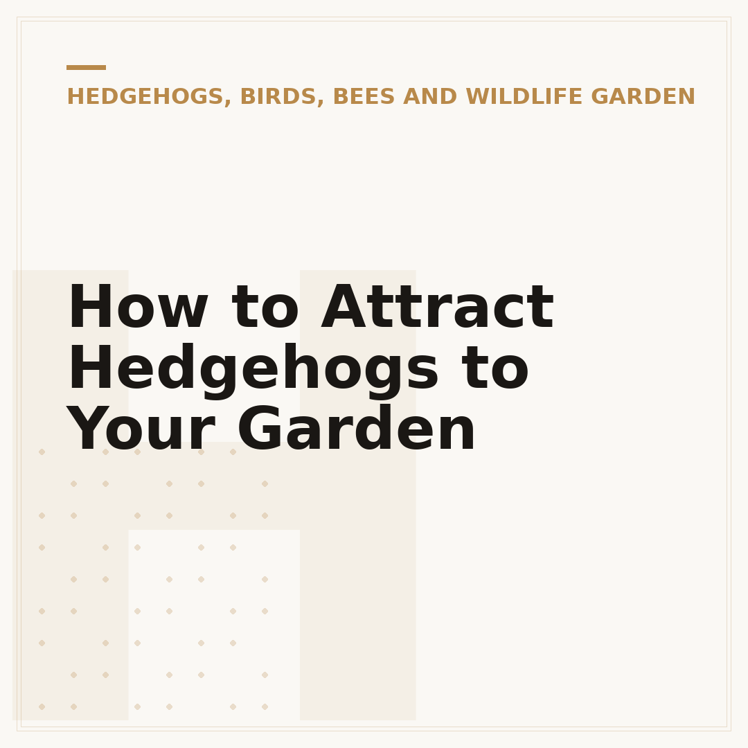 How to Attract Hedgehogs to Your Garden