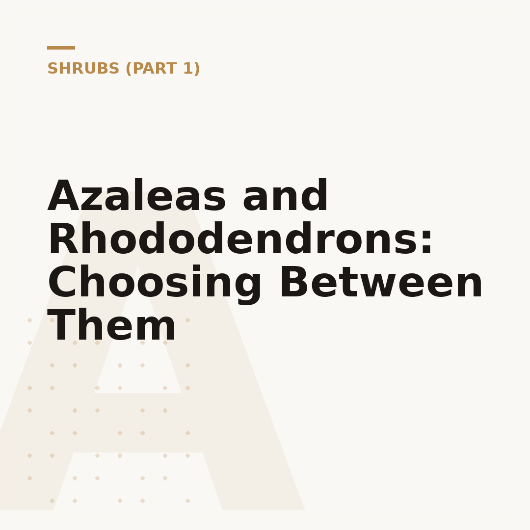 Azaleas and Rhododendrons: Choosing Between Them