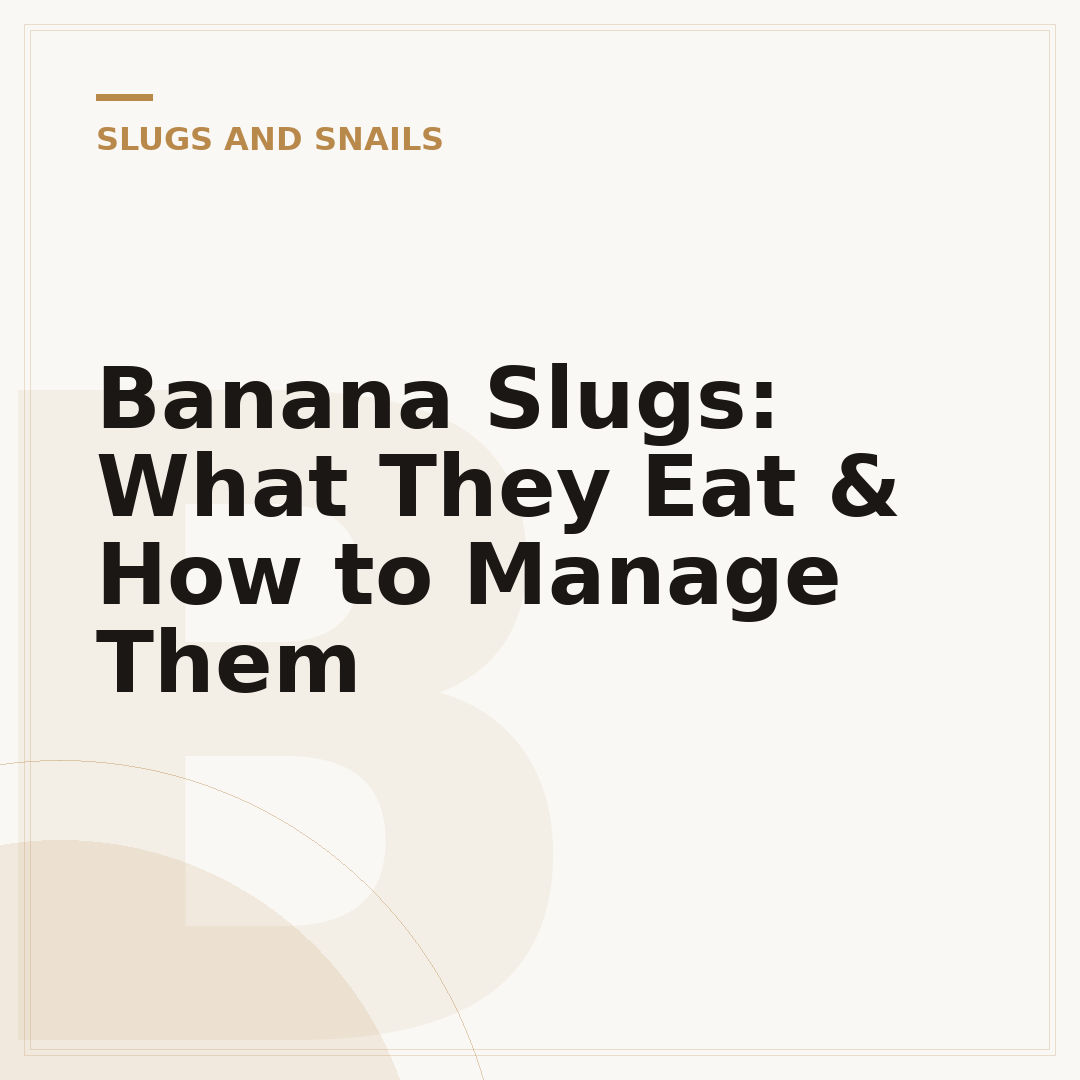 Banana Slugs: What They Eat & How to Manage Them