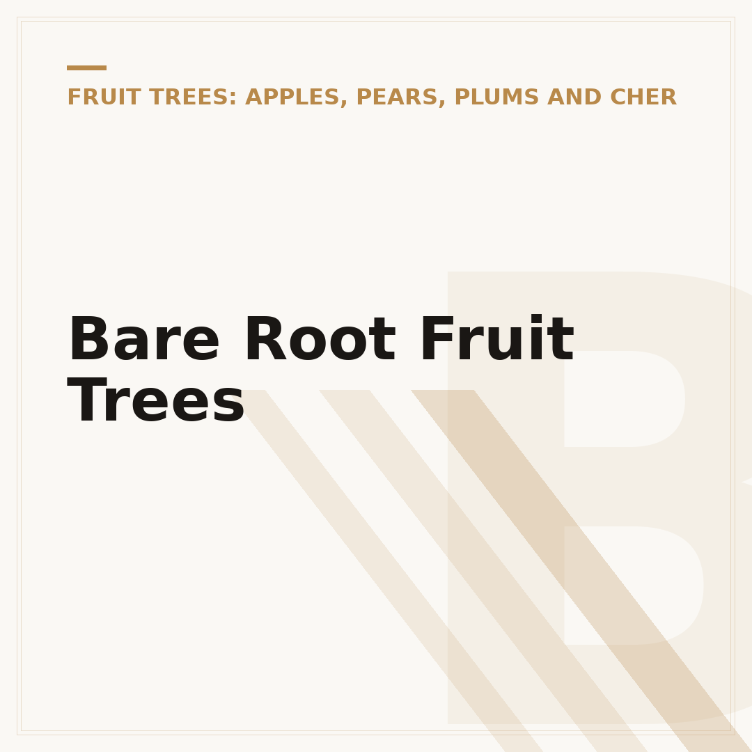 Bare Root Fruit Trees