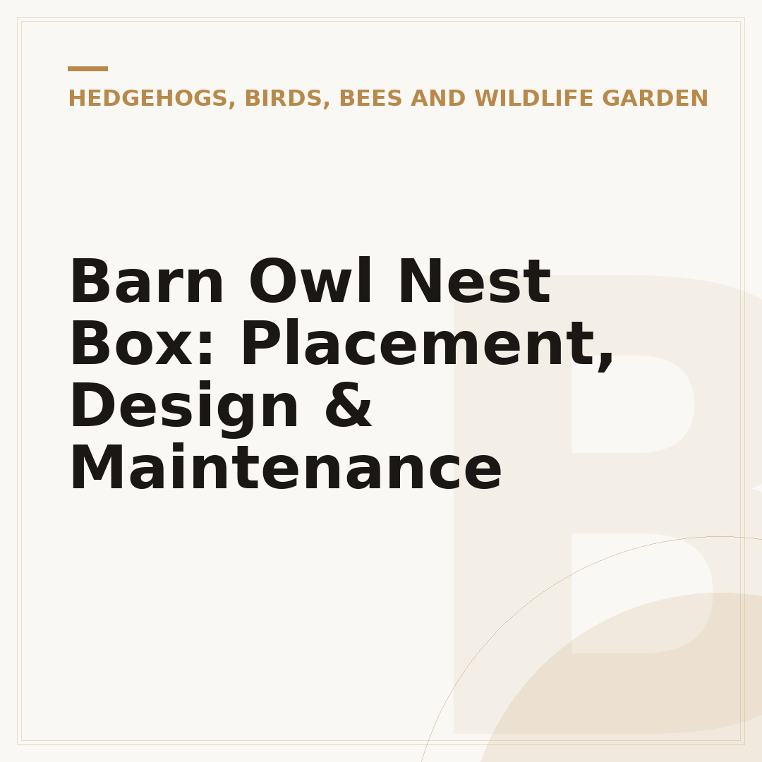 Barn Owl Nest Box: Placement, Design & Maintenance