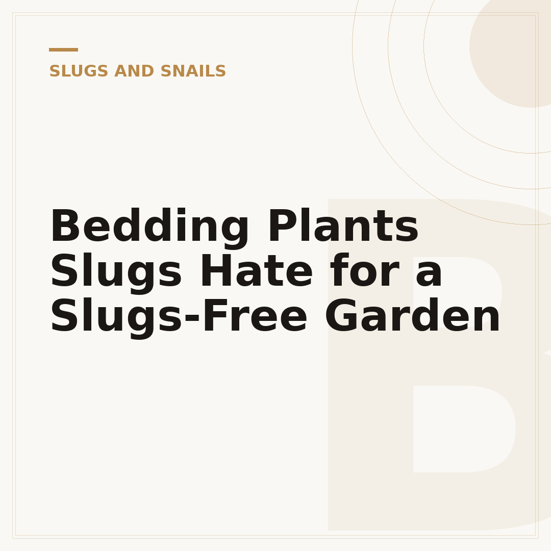 Bedding Plants Slugs Hate for a Slugs-Free Garden