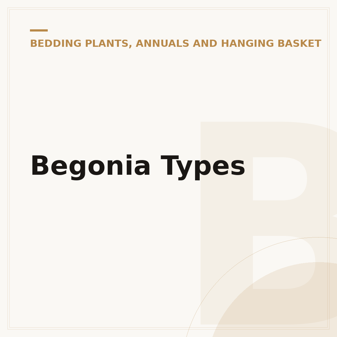 Begonia Types