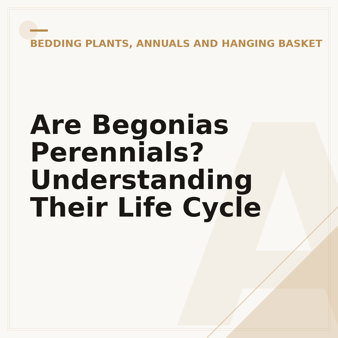 Are Begonias Perennials? Understanding Their Life Cycle