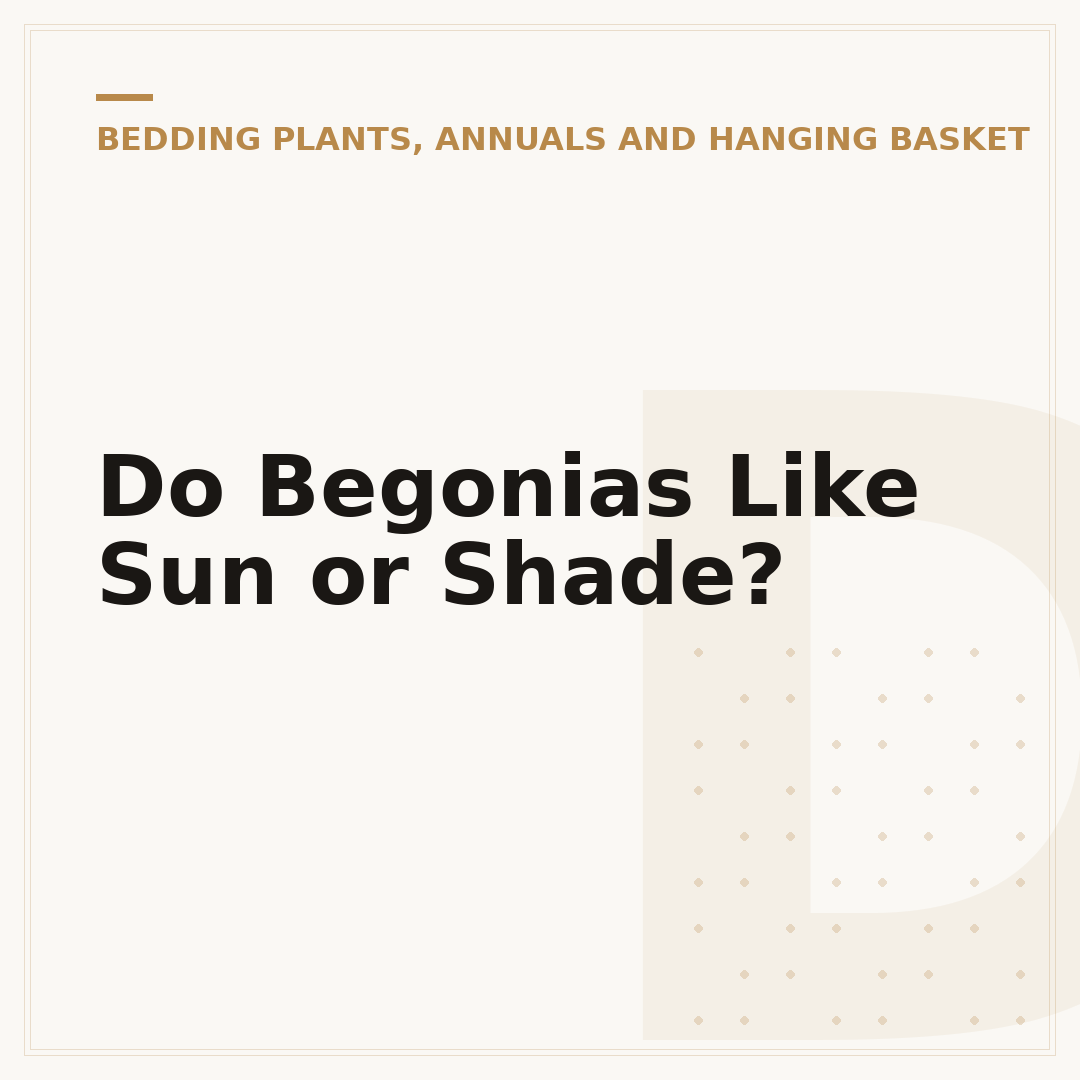 Do Begonias Like Sun or Shade?
