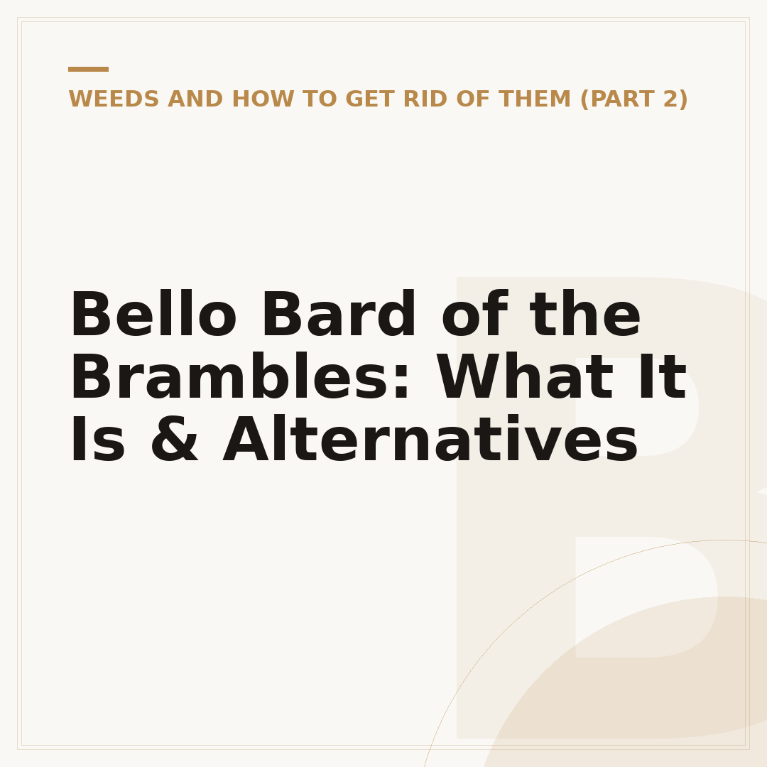 Bello Bard of the Brambles: What It Is & Alternatives