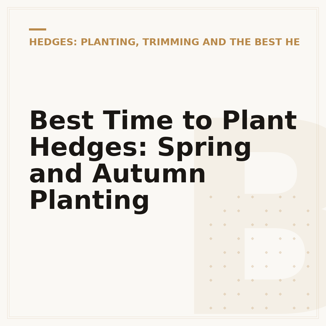 Best Time to Plant Hedges: Spring and Autumn Planting