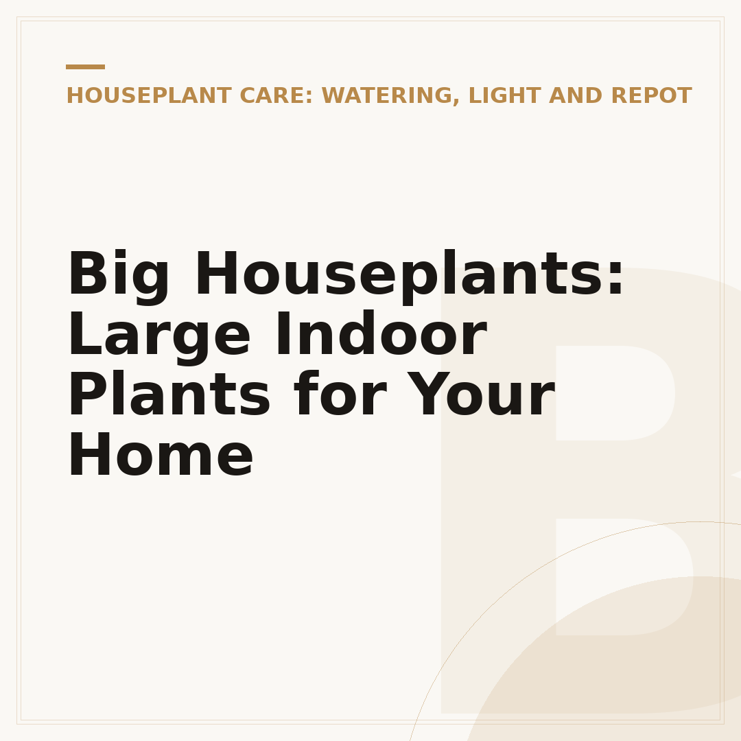 Big Houseplants: Large Indoor Plants for Your Home