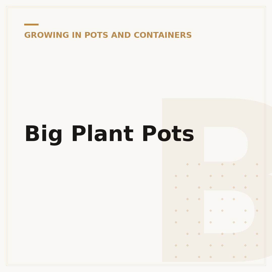 Big Plant Pots