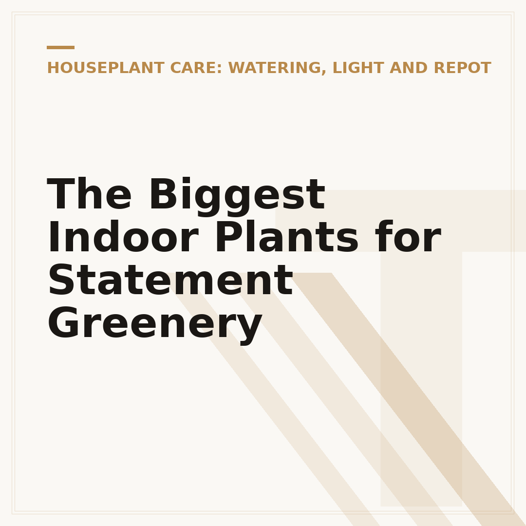 The Biggest Indoor Plants for Statement Greenery