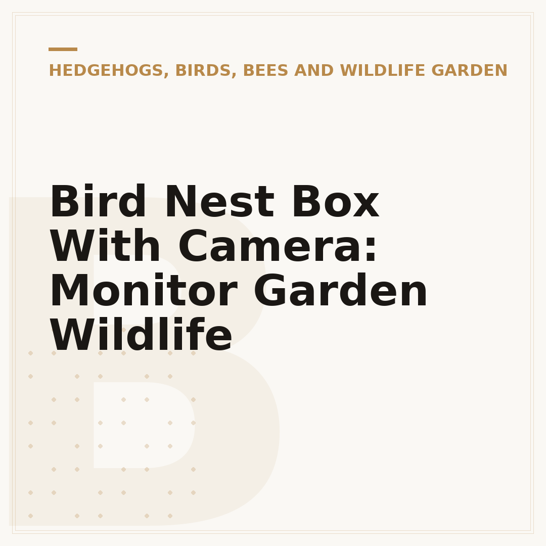 Bird Nest Box With Camera: Monitor Garden Wildlife