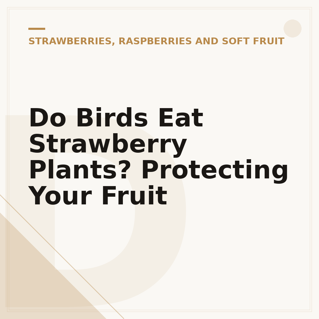 Do Birds Eat Strawberry Plants? Protecting Your Fruit