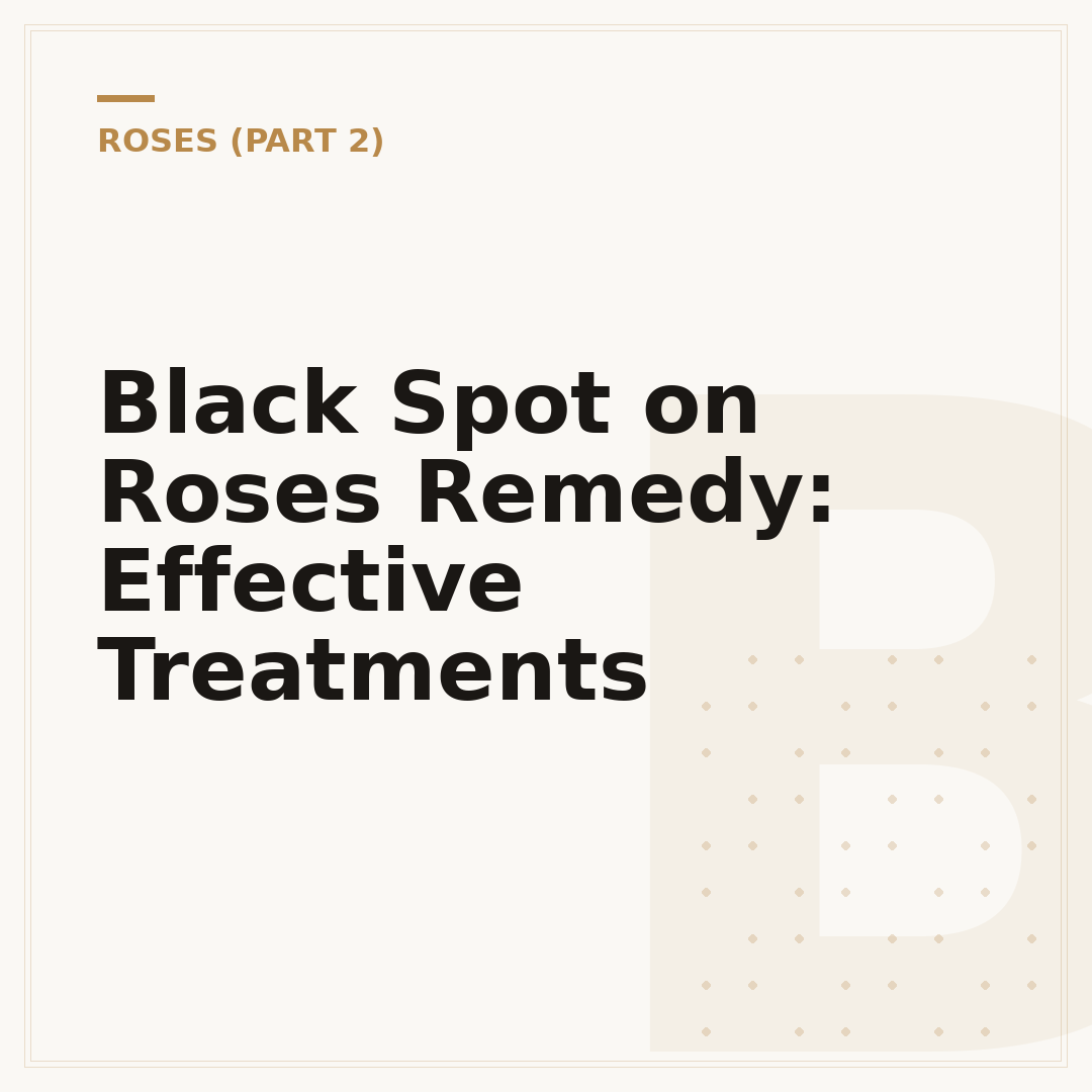 Black Spot on Roses Remedy: Effective Treatments