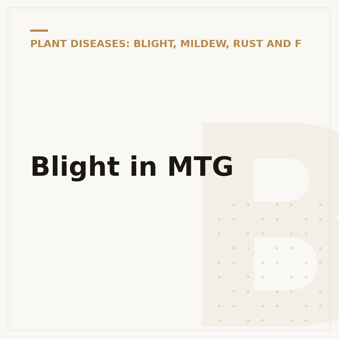 Blight in MTG