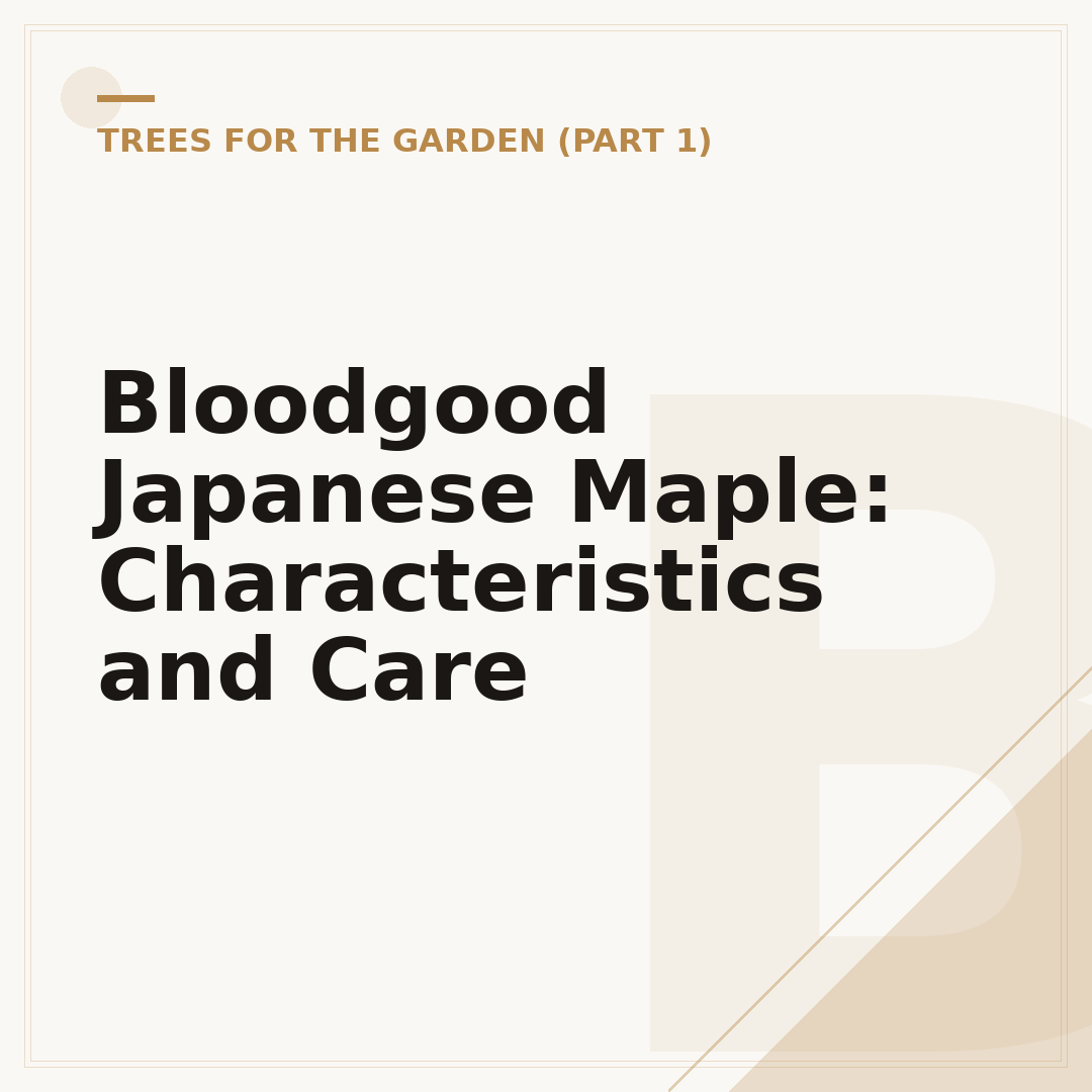 Bloodgood Japanese Maple: Characteristics and Care