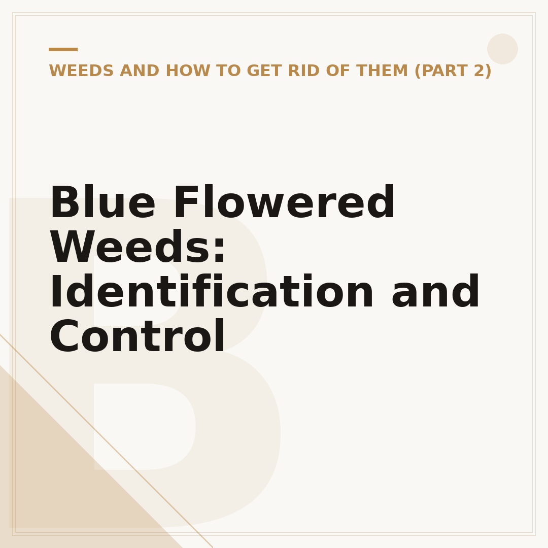 Blue Flowered Weeds: Identification and Control