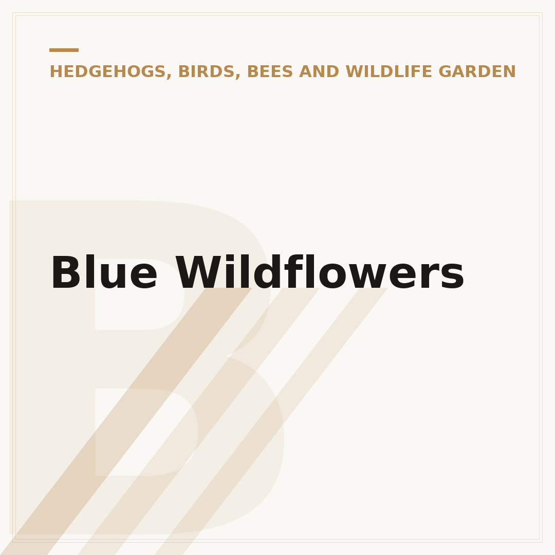Blue Wildflowers