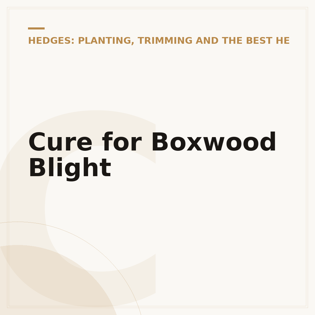 Cure for Boxwood Blight