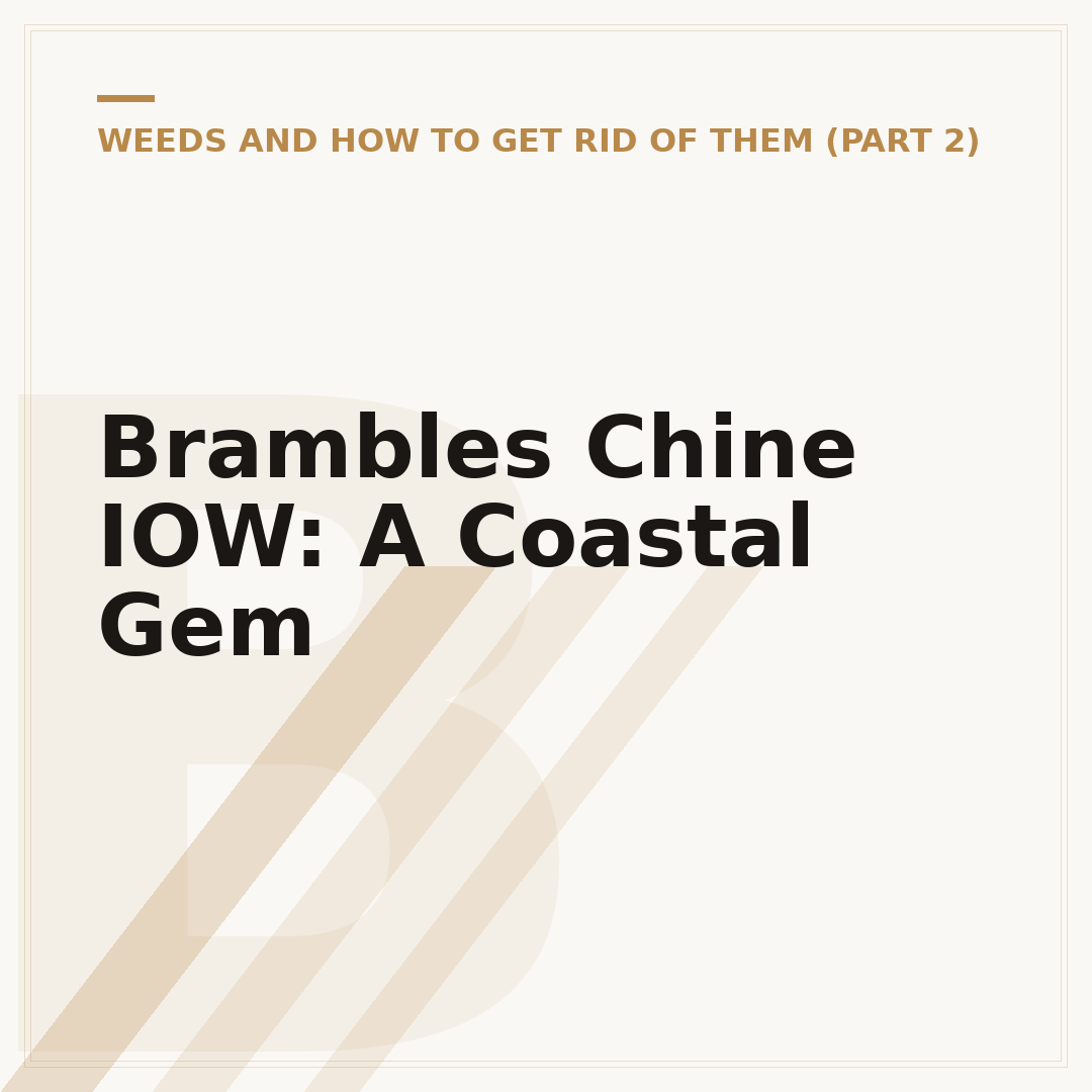 Brambles Chine IOW: A Coastal Gem