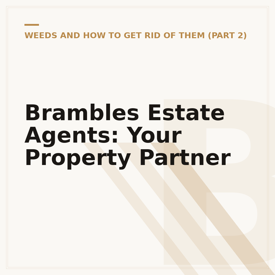 Brambles Estate Agents: Your Property Partner