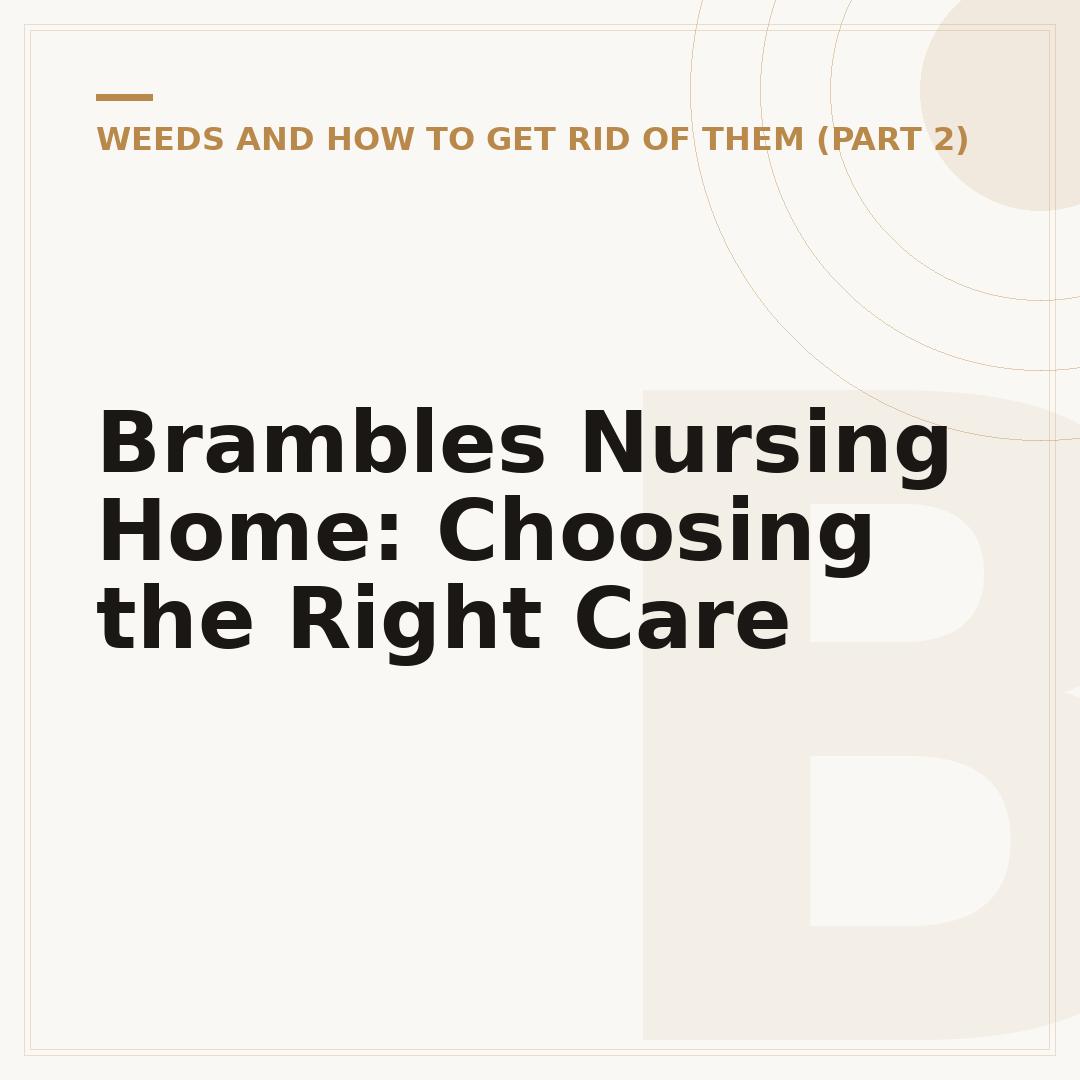 Brambles Nursing Home: Choosing the Right Care