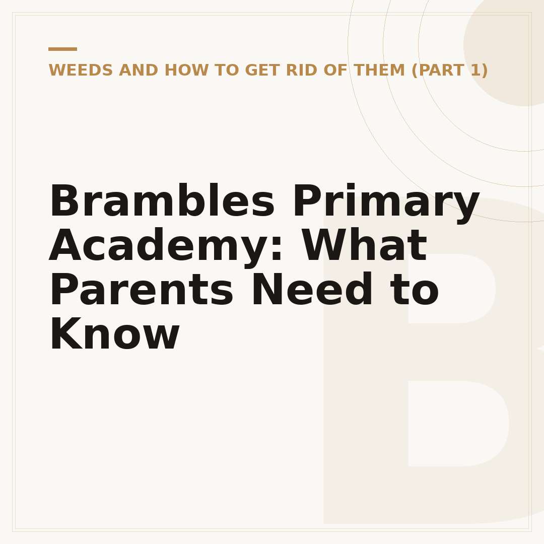 Brambles Primary Academy: What Parents Need to Know