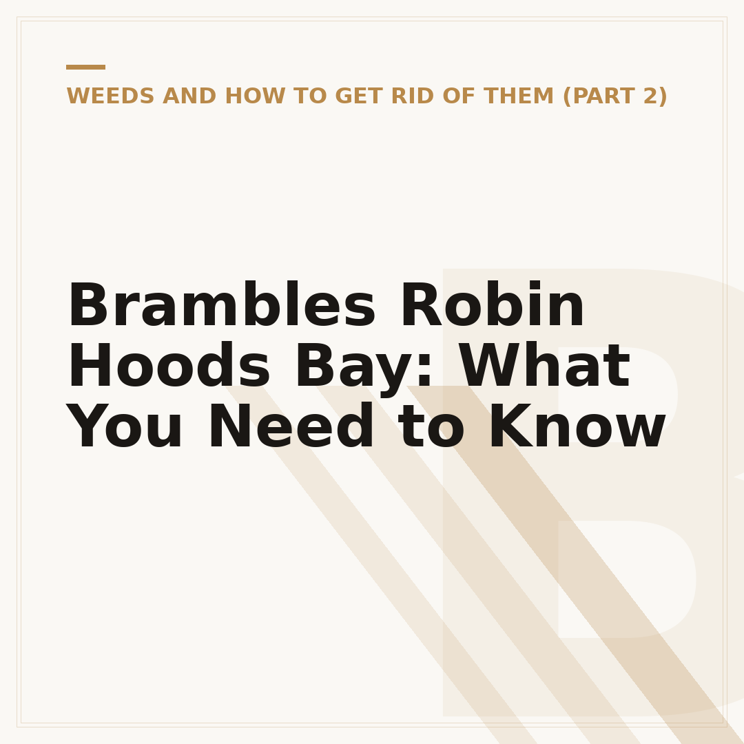 Brambles Robin Hoods Bay: What You Need to Know