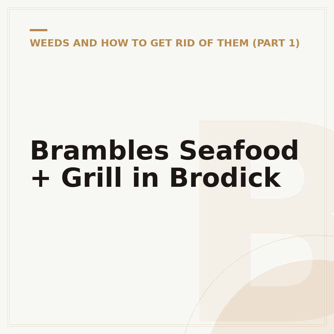 Brambles Seafood + Grill in Brodick