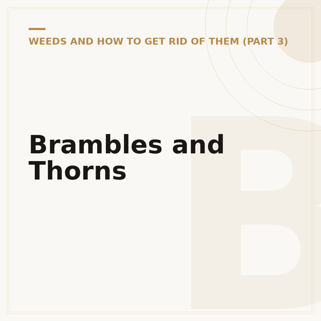 Brambles and Thorns