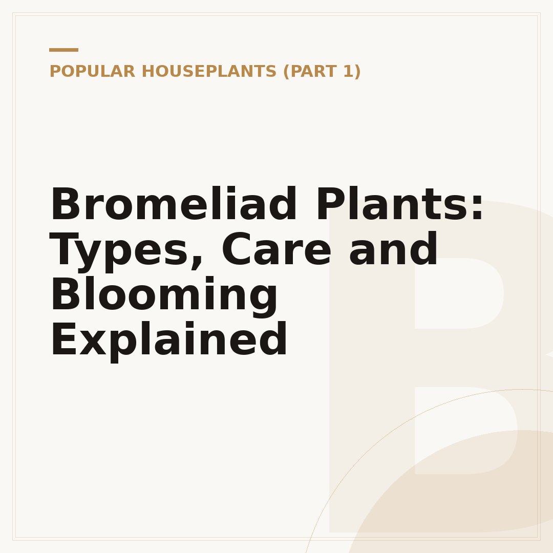 Bromeliad Plants: Types, Care and Blooming Explained