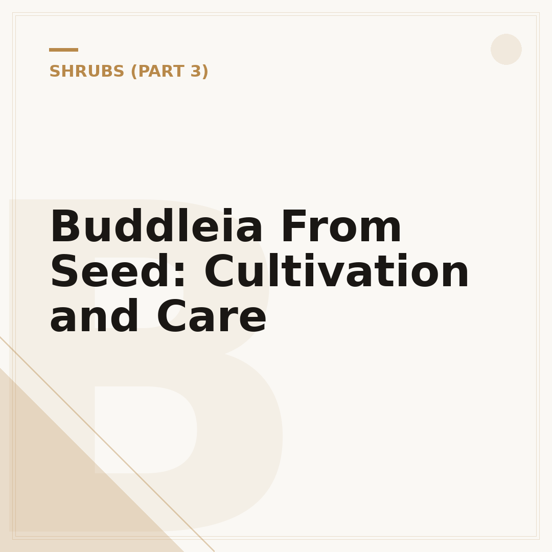 Buddleia From Seed: Cultivation and Care