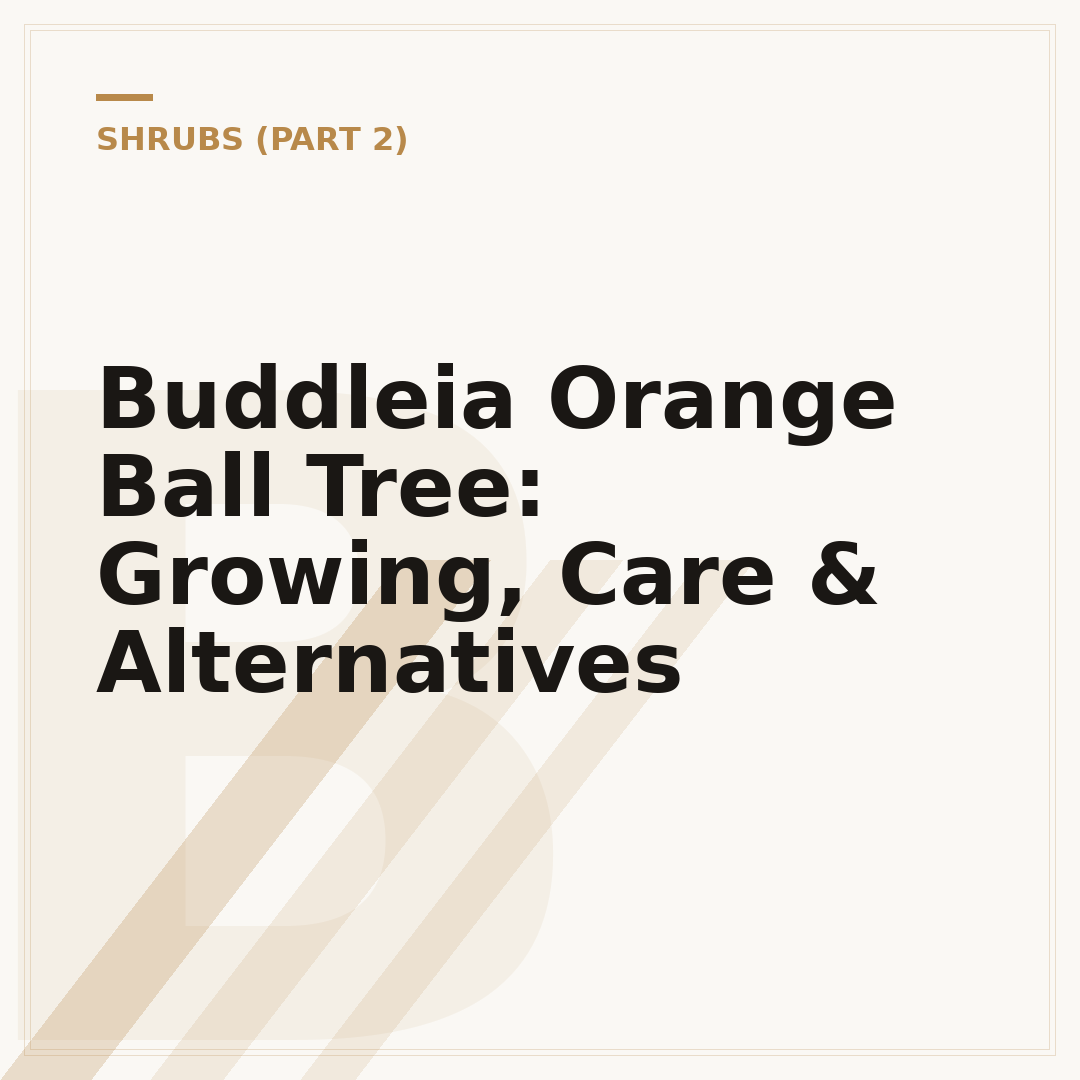 Buddleia Orange Ball Tree: Growing, Care & Alternatives
