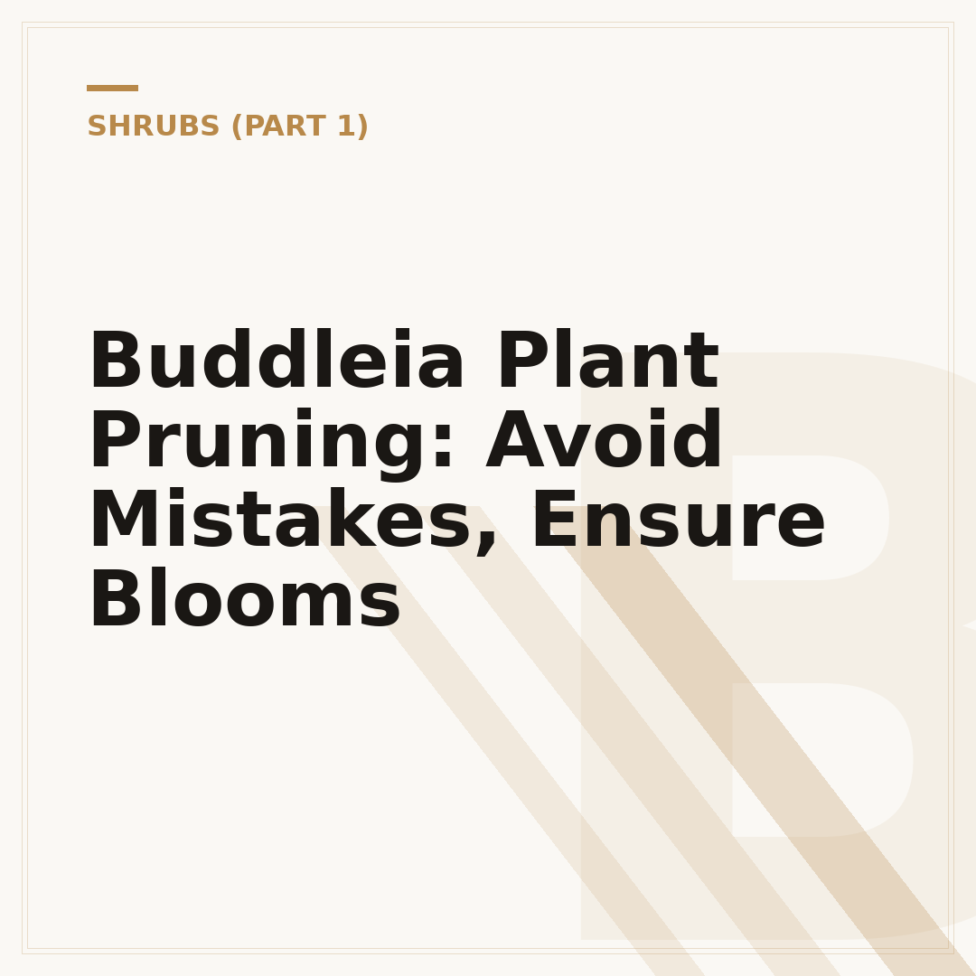 Buddleia Plant Pruning: Avoid Mistakes, Ensure Blooms