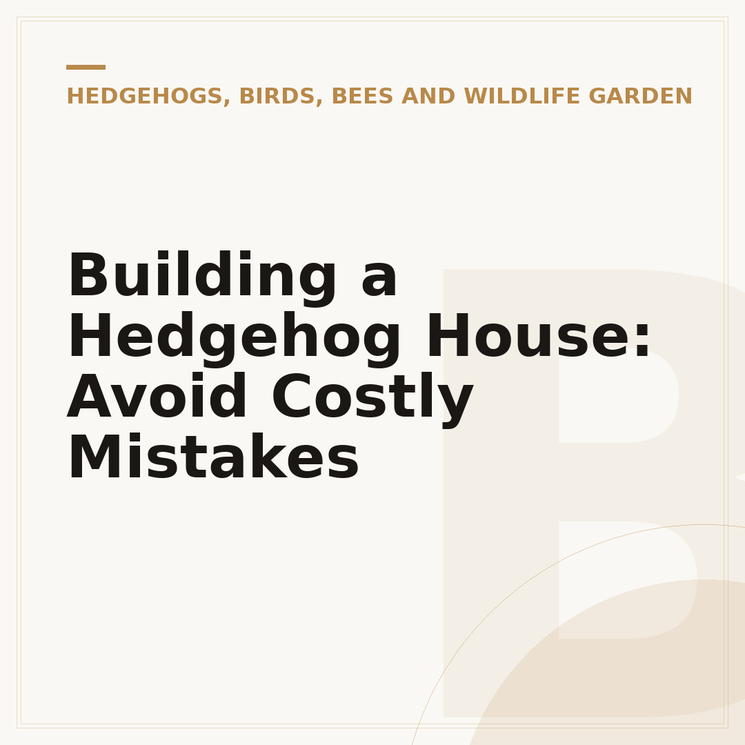 Building a Hedgehog House: Avoid Costly Mistakes