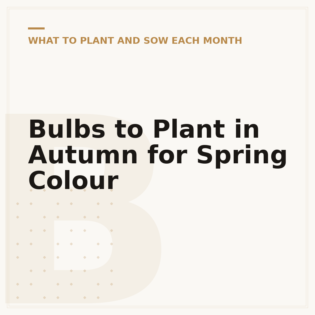 Bulbs to Plant in Autumn for Spring Colour