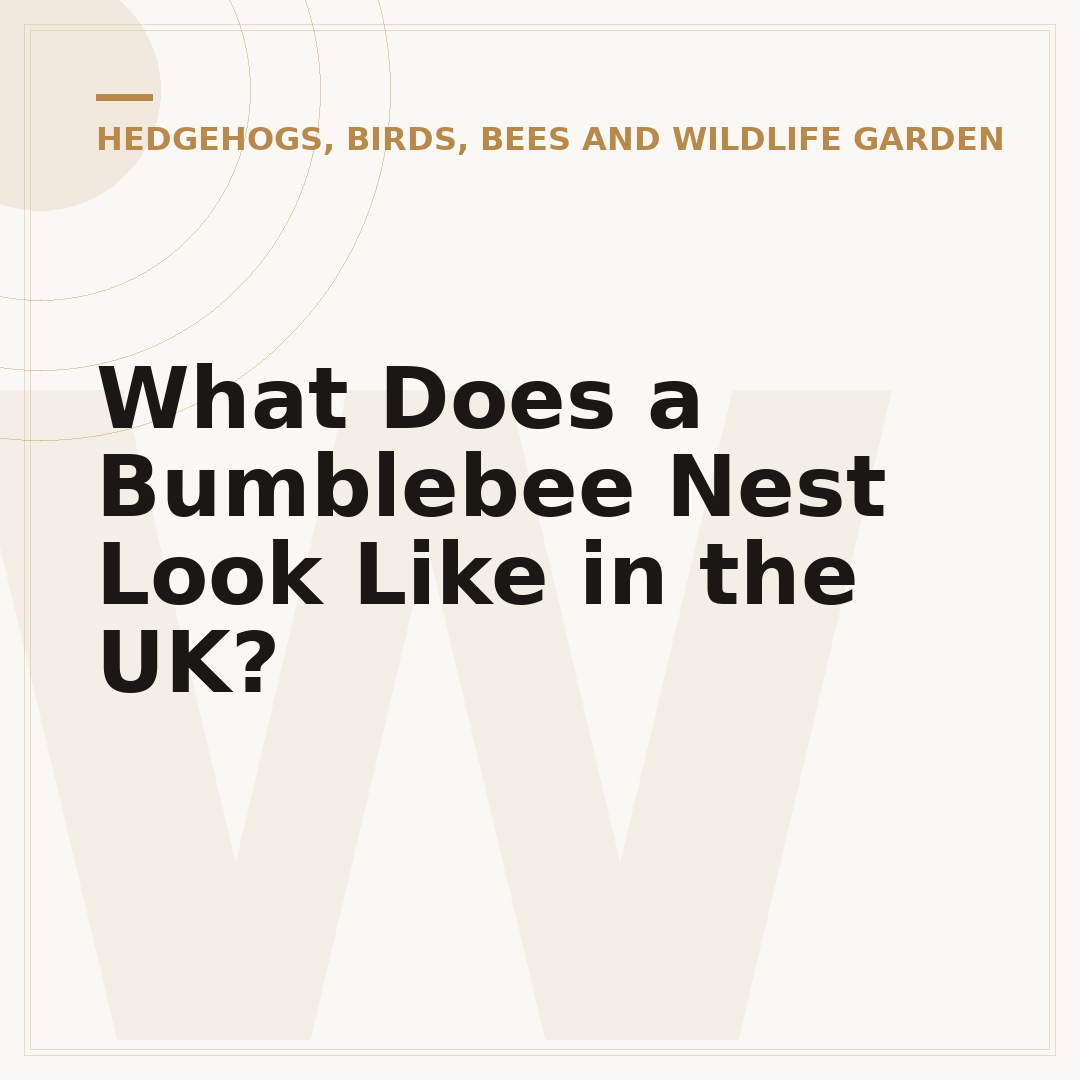 What Does a Bumblebee Nest Look Like in the UK?
