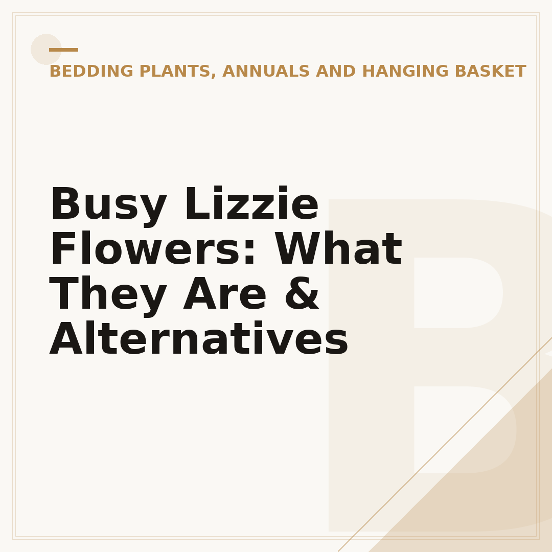 Busy Lizzie Flowers: What They Are & Alternatives