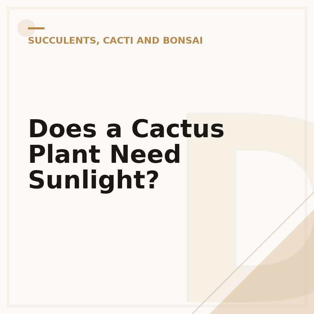 Does a Cactus Plant Need Sunlight?