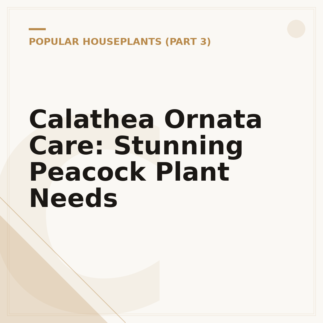 Calathea Ornata Care: Stunning Peacock Plant Needs
