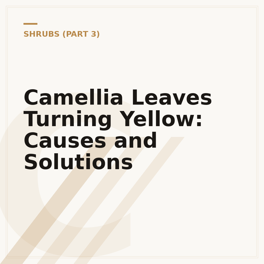 Camellia Leaves Turning Yellow: Causes and Solutions