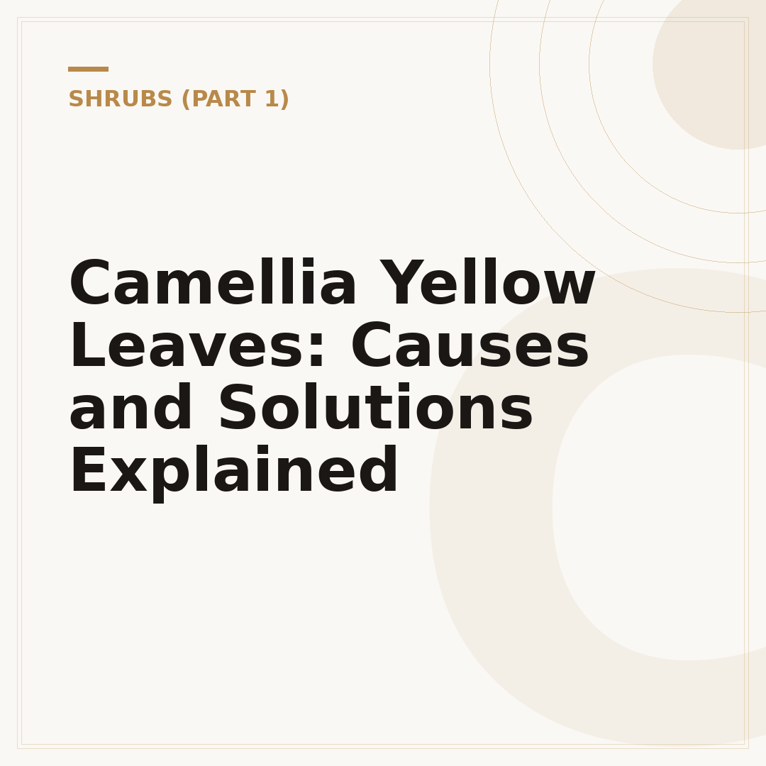 Camellia Yellow Leaves: Causes and Solutions Explained