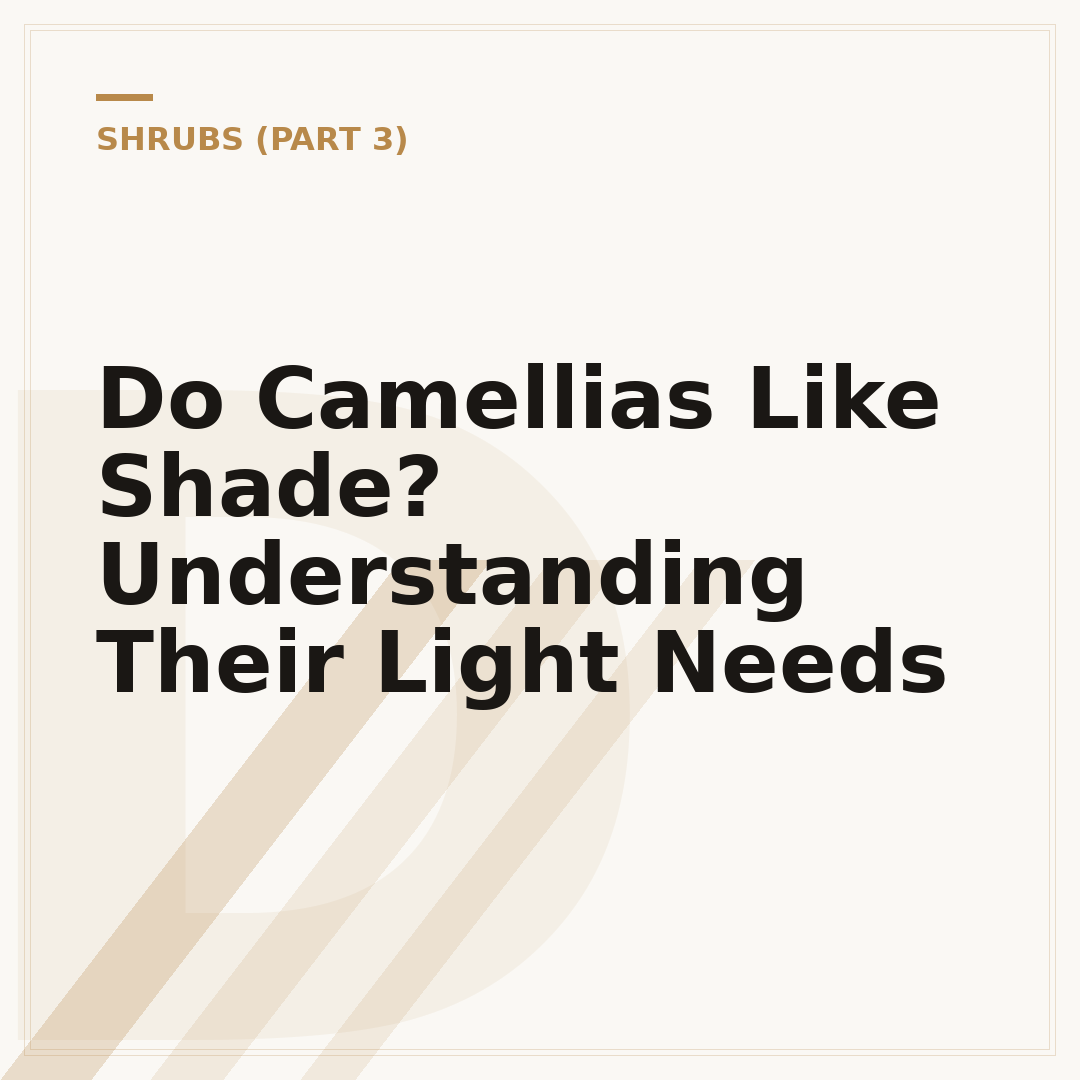 Do Camellias Like Shade? Understanding Their Light Needs