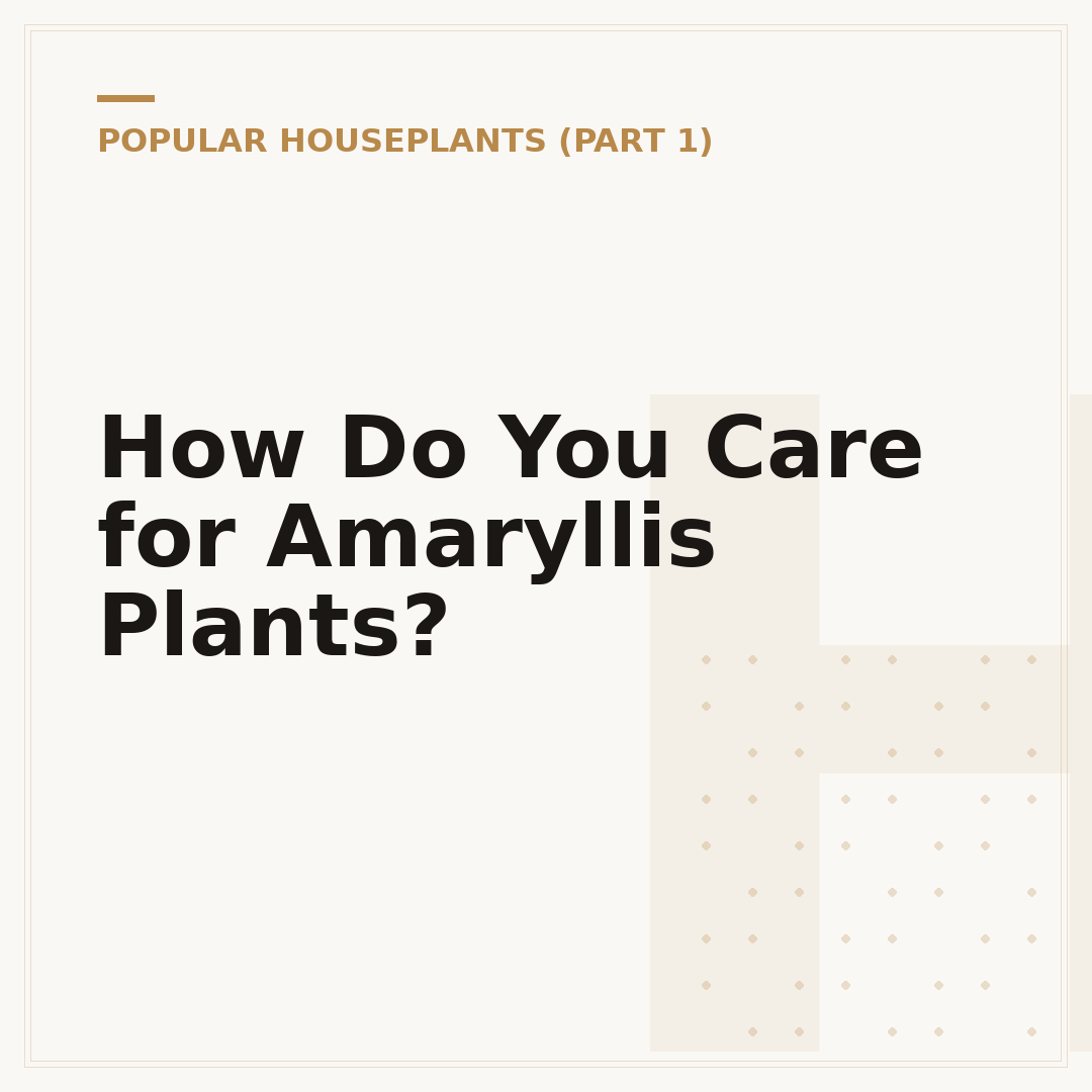 How Do You Care for Amaryllis Plants?
