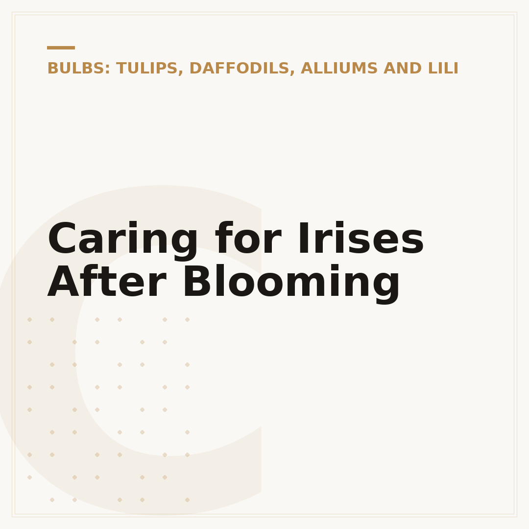 Caring for Irises After Blooming
