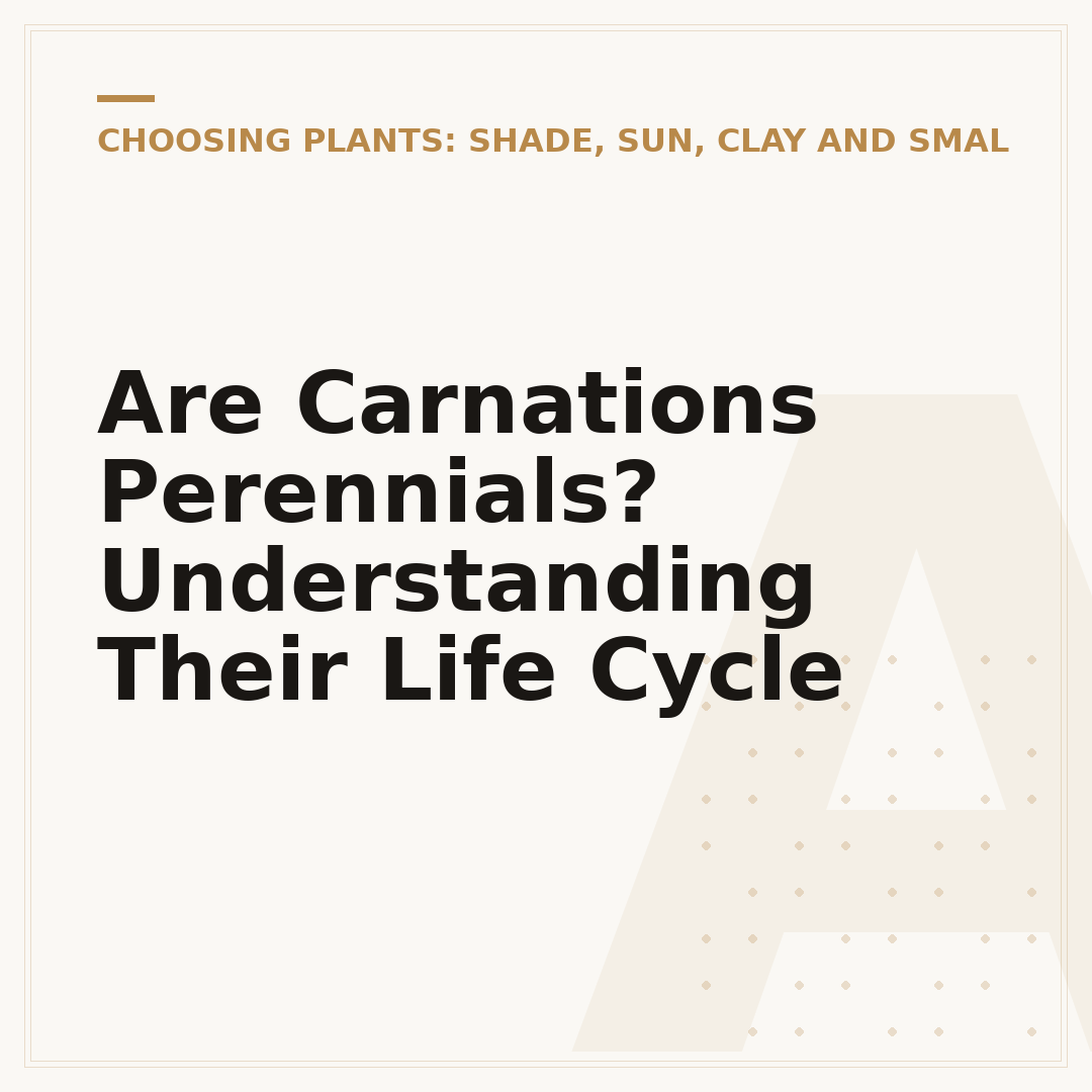 Are Carnations Perennials? Understanding Their Life Cycle