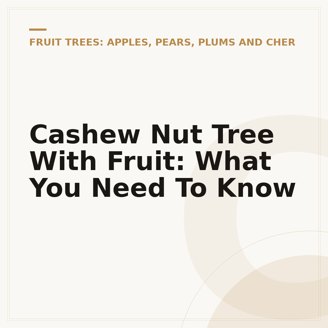 Cashew Nut Tree With Fruit: What You Need To Know