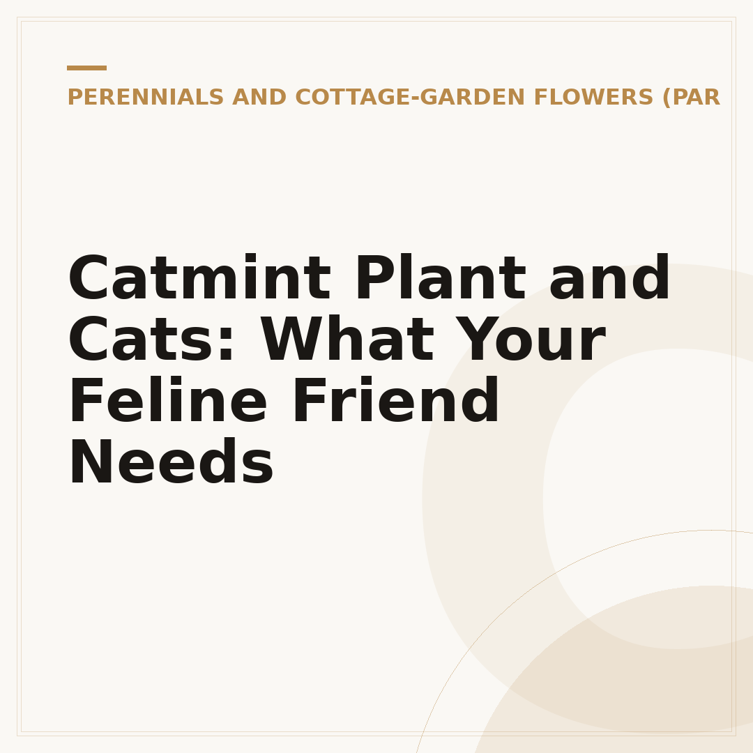 Catmint Plant and Cats: What Your Feline Friend Needs