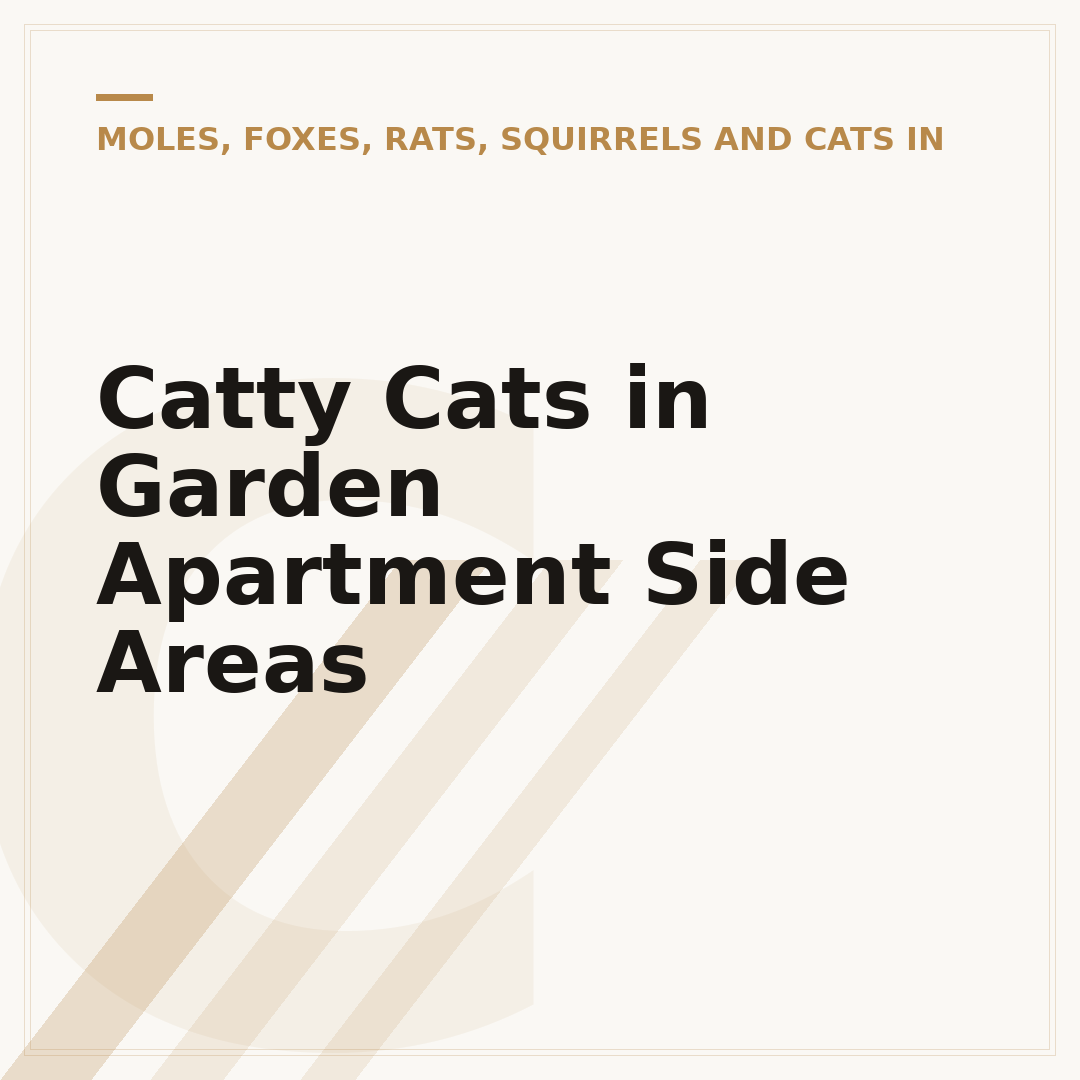 Catty Cats in Garden Apartment Side Areas
