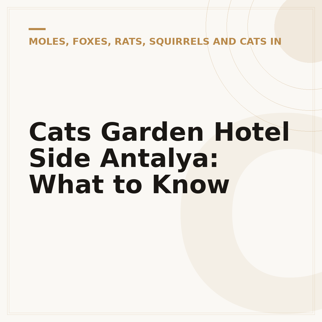 Cats Garden Hotel Side Antalya: What to Know